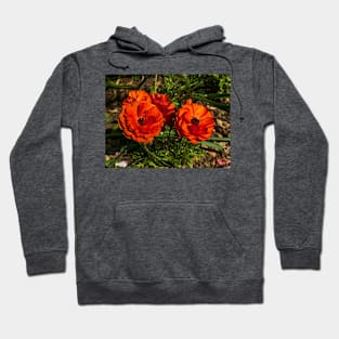 Orange blooms Hoodie